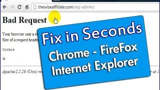How To Fix 400 Bad Request Error in Seconds - Chrome FireFox IE