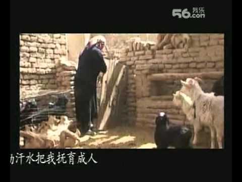 Ana -ئۇيغۇر,uyghur