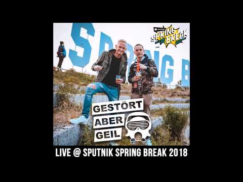 The Cranberries -Zombie (Gestört aber Geil Remix)