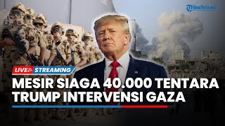 Memanas! Mesir Siaga Kerahkan 40 Ribu Pasukan di Perbatasan Israel, Trump Campur Tangan soal Gaza