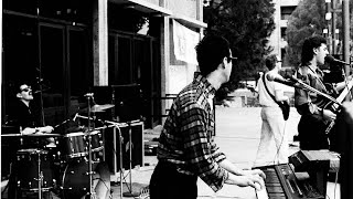 Robyn Hitchcock &amp; The Egyptians- If You Were A Priest