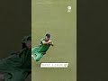 Ireland S Trent Johnston Unbelievable Wonderful Caught