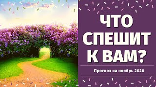 ЧТО СПЕШИТ В ВАШУ ЖИЗНЬ? ТАРО ПРОГНОЗ НА НОЯБРЬ 2020. КАК ИЗМЕНИТСЯ МОЯ ЖИЗНЬ? расклад на судьбу