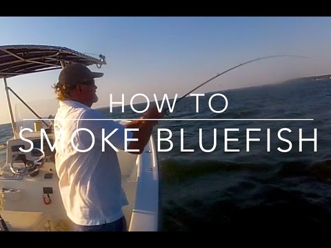 download lagu mp3 mp4 How To Smoke Bluefish Fillets, download lagu How To Smoke Bluefish Fillets gratis, unduh video klip How To Smoke Bluefish Fillets