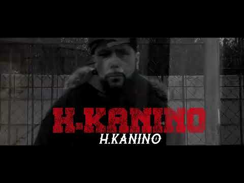 PROELIUM PROMO 2 "2024"