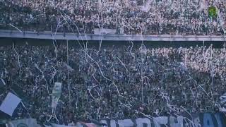 Download lagu story wa keren persebaya bonek salam satu nyali wani! 💚 mp3