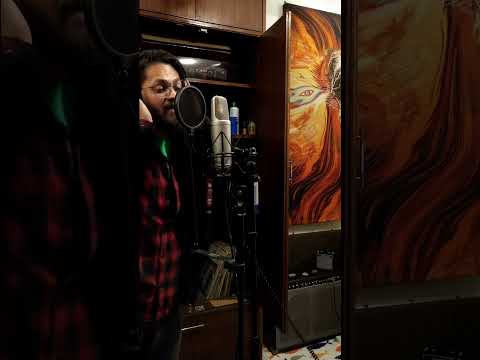 Hypocrisy - Vocal Tracking