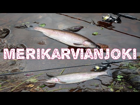 Merikarvianjoki | Kirjolohta | Kalastus