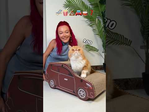 The Cutest Cat Houses in the World😻 Subscribe for the Next Part:)