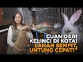 This Young Agriculture Ambassador Proves Rabbit Farming Can Be Profitable In The City
