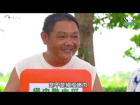 當季好吃跟我走 虱目魚篇