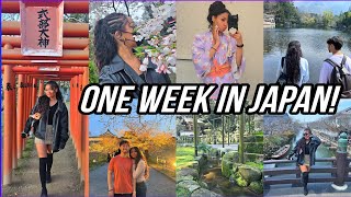 Japan Travel Vlog | Onsen, Cherry Blossoms, Shrines, Anime, Food, and more!