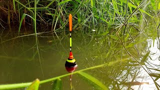 Download lagu Mukbang Pepes Fish Fishing Results Nila Babon In New Spot #HP1 mp3