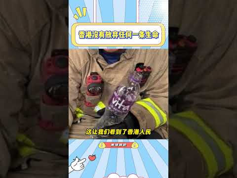 香港没有放弃任何一条生命，大家都要平平安安的呀#香港大火#宠物