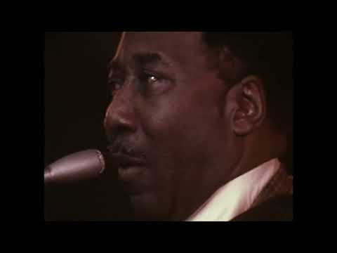 Videoclip de Walkin' Thru The Park — Muddy Waters