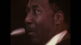Muddy Waters - Walkin Thru The Park
