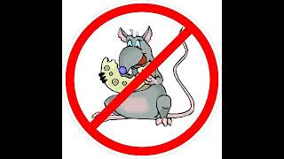 Download lagu เสียงไล่หนู (Ultrasonic sounds)(Anti mouse)(mouse killer) mp3