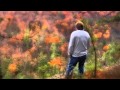Johnny Mathis - Autumn Leaves