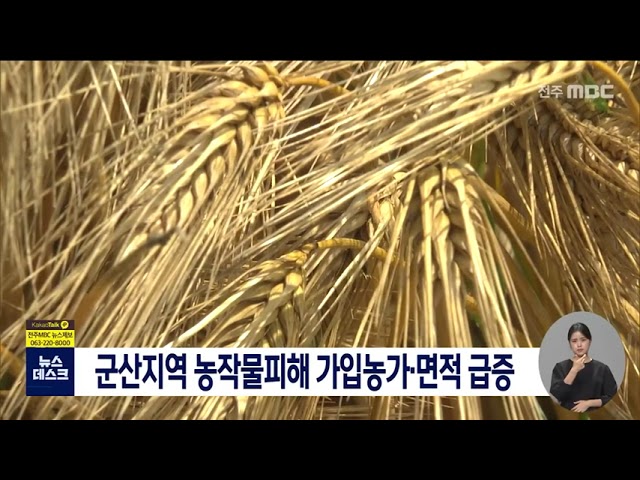 군산지역 농작물 재해보험 가입 증가