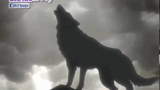 Wolf&#39;s Rain 狼雨 主題曲 OP 「Stray」 Steve Conte (HD) [Chn&amp;EngSub]