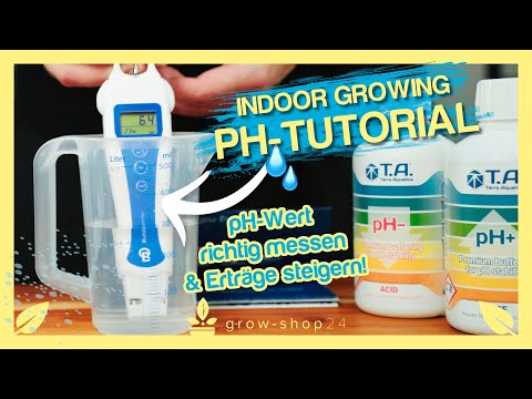 Grow Tutorial: pH-Wert verstehen und richtig messen!