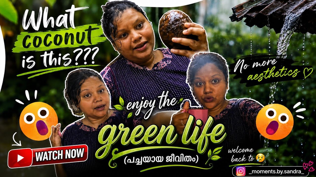 🌿 പച്ചയായ ജീവിതം | മഴ, വെള്ളപ്പൊക്കം, അഛനും അമ്മയും ഞാനും... ❤️☔#vlog #rain 