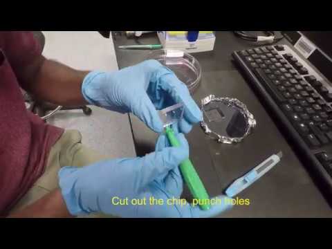 PDMS Microchannel fabrication using lithography process - Part 2: soft-lithography