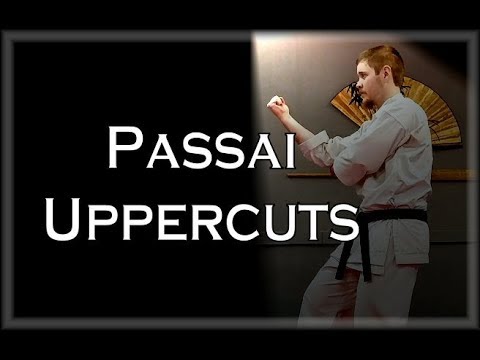 Waza Wednesday 11/15/17 - Passai Uppercuts (Oyo Bunkai Concept)