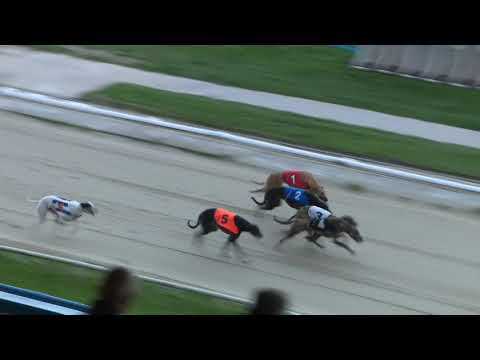 Black Zack - Ladbrokes Kent Derby - HT 2