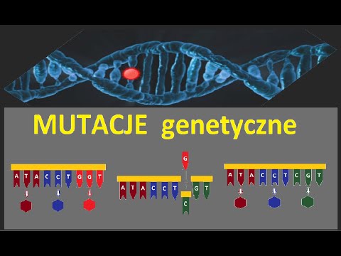 Mutacje - przyczyny, skutki, choroby