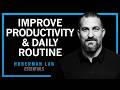 Maximize Productivity Physical Mental Health With Daily Tools Huberman Lab Essentials