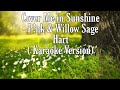 Cover Me in Sunshine - P!nk & Willow Sage Hart (Karaoke Version)