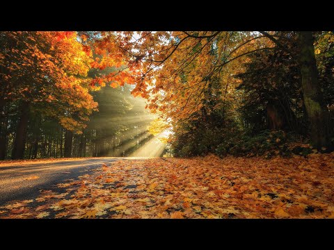 Anu Shah - Moola Mantra