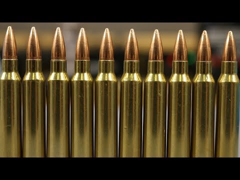 Bobs' Bulk 223 - OAL tests with AR-Comp