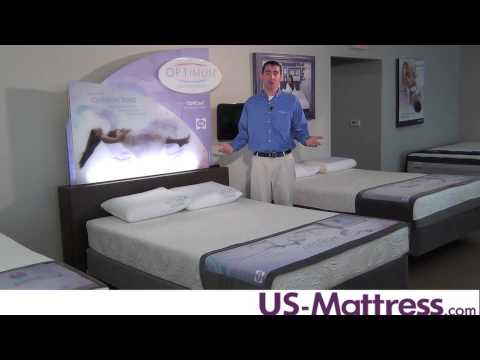 Sealy Optimum Collection Overview