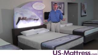 Sealy Optimum Collection Overview