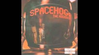 Spacehog- This Is America