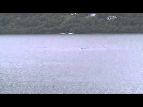 Loch Ness Monster.2015.07.05.Dores Beach.