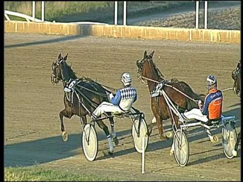 Trotto 10/02/2017 - 4ª corsa