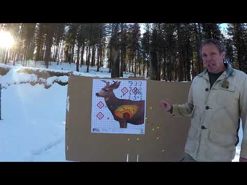 Federal Shorty Shotgun Shells