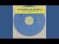 Brainville (Live on KCRW, 05/15/96) - The Flaming Lips