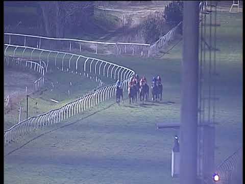 Galoppo 26/02/2019 - 6ª corsa - TRIS