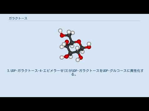 ガラクトキナーゼ欠損症