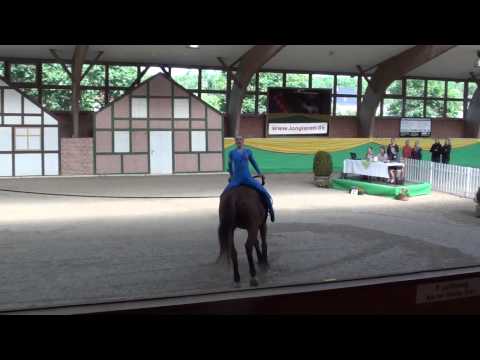 CVI Krumke 2013 - Gianna Meier Pflicht