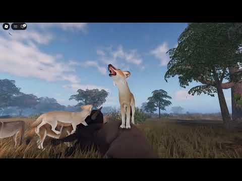Direwolf Pack Long-play Documentary -- Semirealism || Hunting and traveling with Kyn of Amarlia