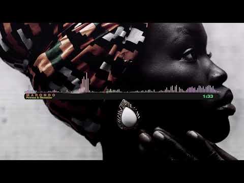 Ohms Law Montana x Petrooz - Marondo (Official Audio)