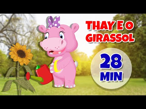 Thay e o Girassol - Giramille 28 min | Desenho Animado Musical