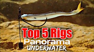 Top 5 Rigs for the 6th Sense Panorama *Underwater Footage*