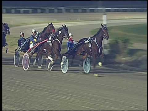 Trotto 11/12/2016 - 5ª corsa