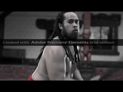 things to do in paihia